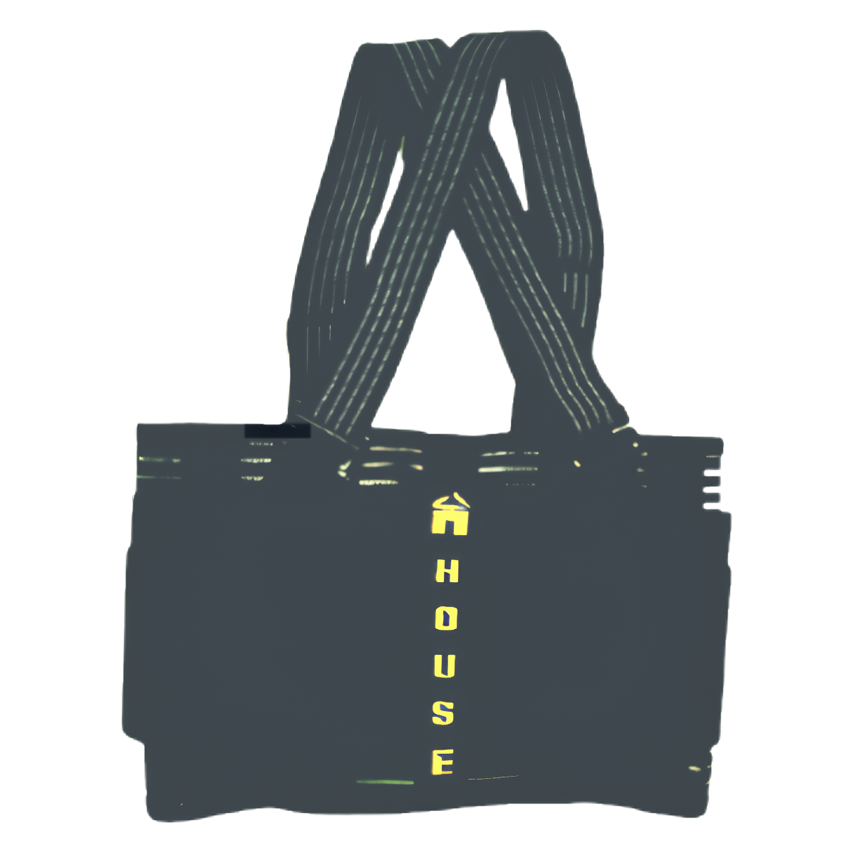 Back Support Belt